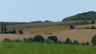 Des députés, les syndicats agricoles, des collectivités et des associations plaident pour une loi foncière de grande ampleur. © A. Cassigneul/GFA Des députés, les syndicats agricoles, des collectivités et des associations plaident pour une loi foncière de grande ampleur. © A. Cassigneul/GFA